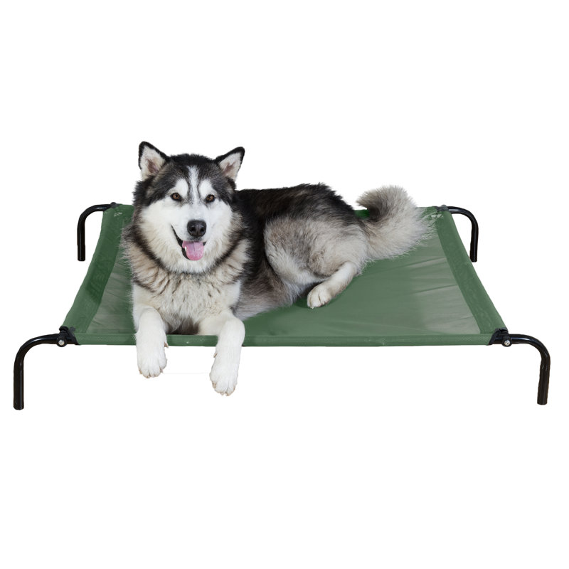 Archie & Oscar™ Halley Reinforced Dog Cot & Reviews Wayfair